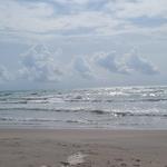 Padre Island National Seashore