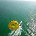 Gators Parasail