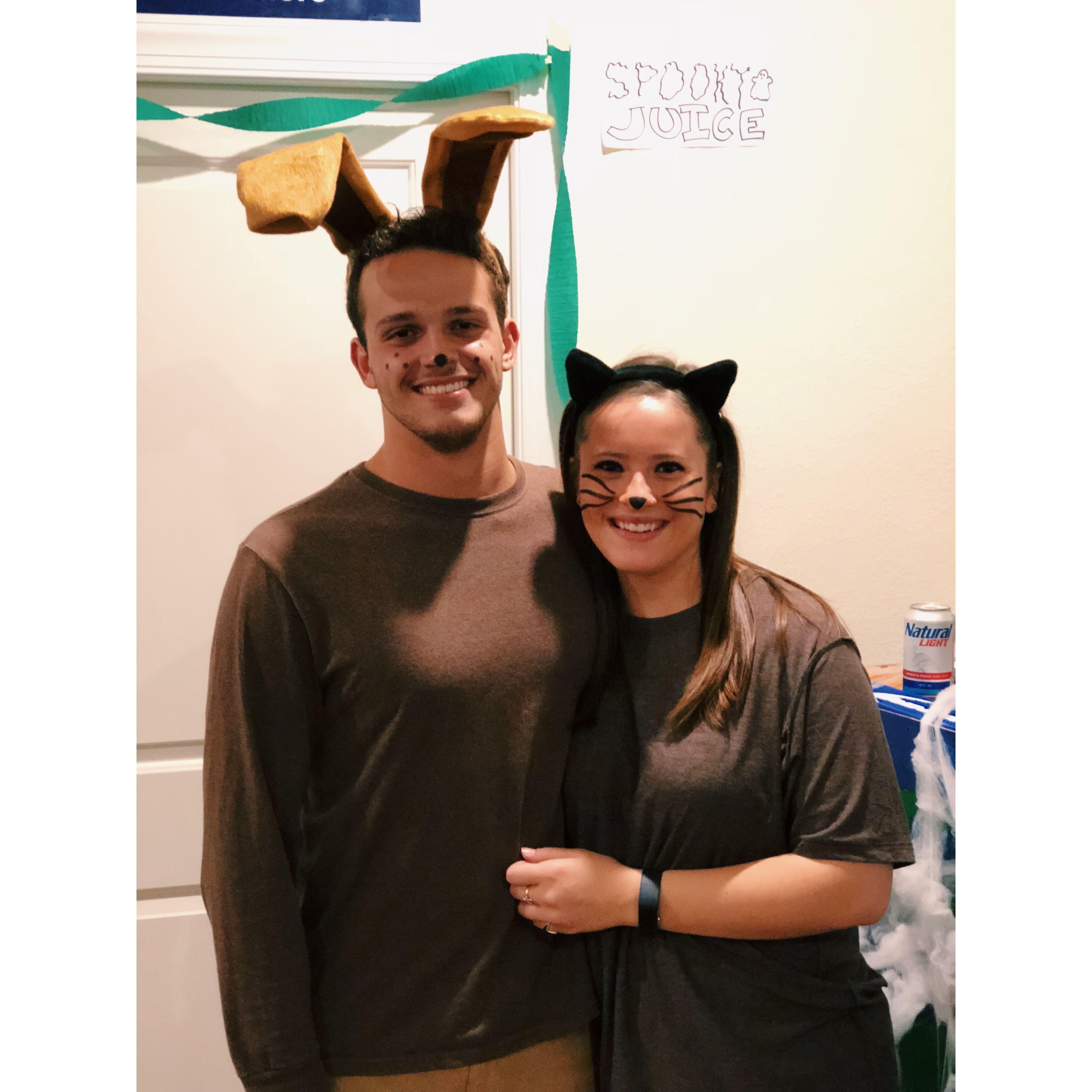 Brown-dog and brown-cat, Halloween 2018