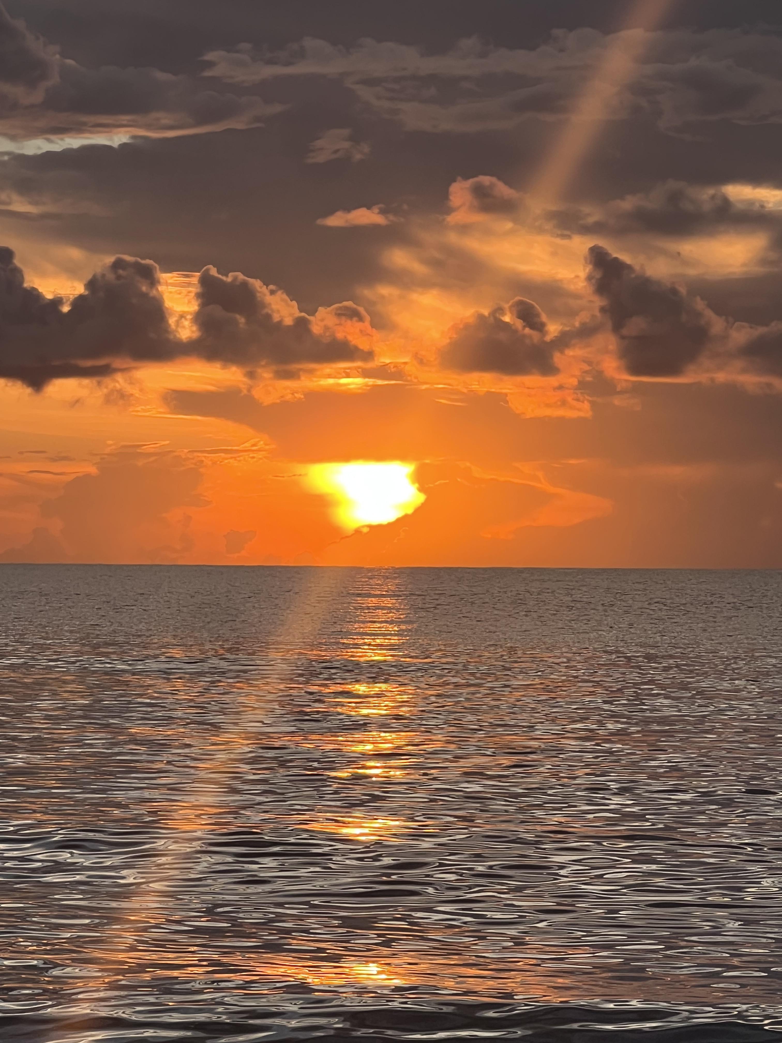 c19c7189-4267-4aa6-8a06-d48ef4dcfeef