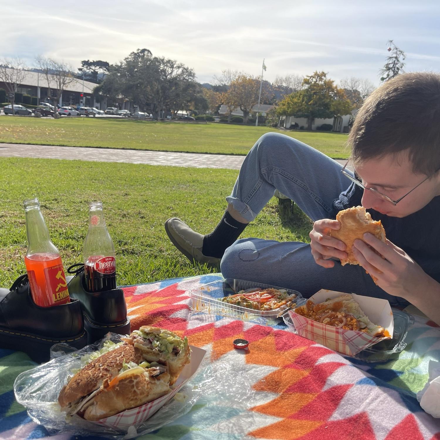 picnic in monterey November 2023