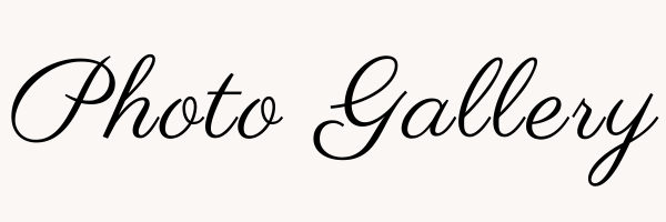 The Wedding Website of Courtney Considine and Seth Riggan