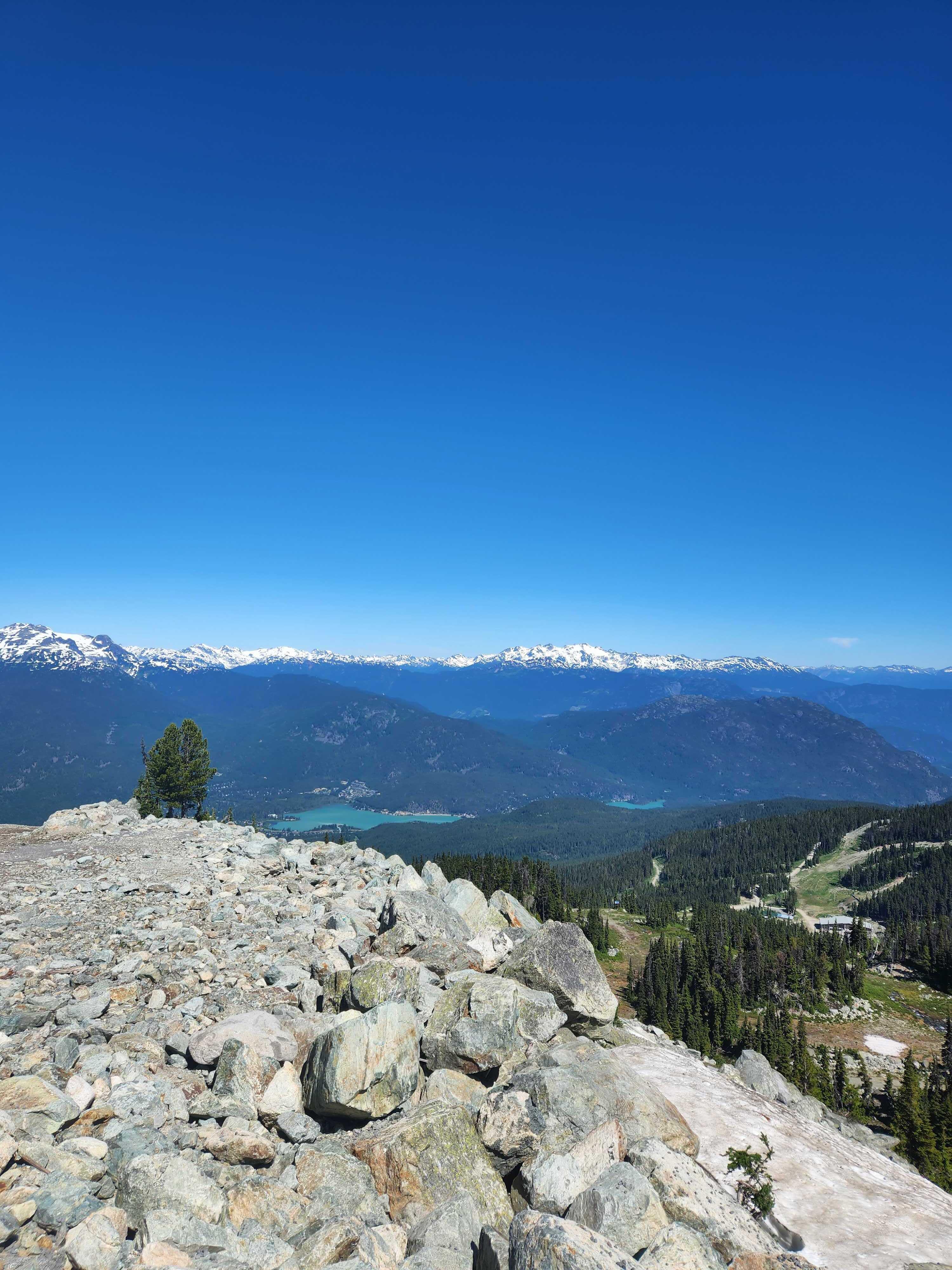 The Wedding Website of Blue Ivy and ABC Stark