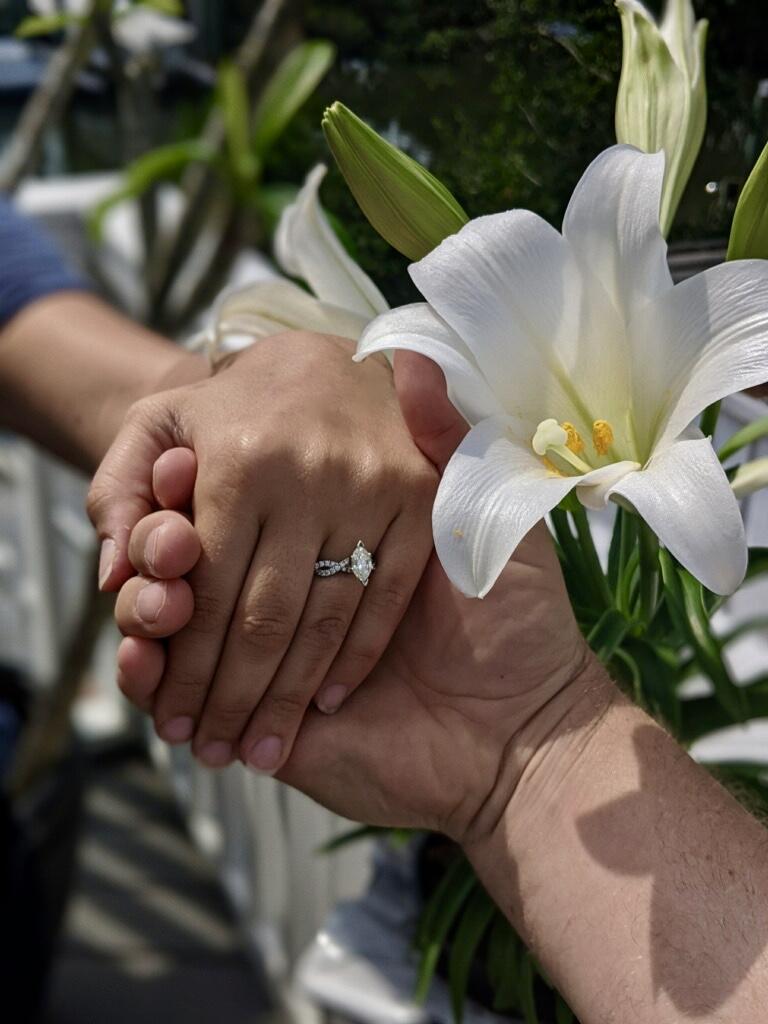 The Wedding Website of Danielle Mercurio and Matthew Porter