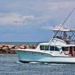 Go Fishing