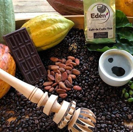 Costa Rican Coffee and Chocolate Tour