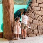 BREC's Baton Rouge Zoo