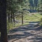 Easy Walk: Flagstaff Urban Trail System