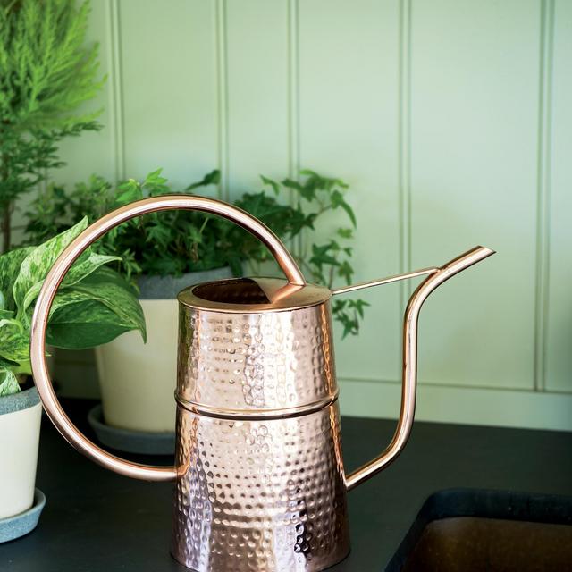 Copper Indoor Watering Can