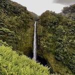 Akaka Falls State Park ⸺ WATERFALL