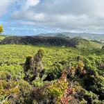 Full-Day Hiking Tour in Terceira Island