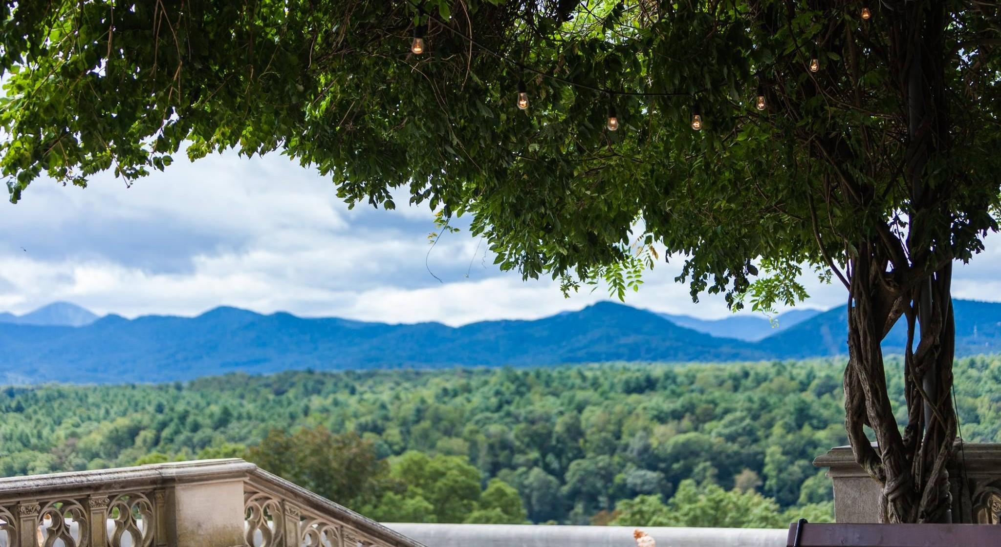 The Wedding Website of Brooke Reaves and Nicholas Jud