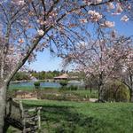 The Gardens at Heather Farm