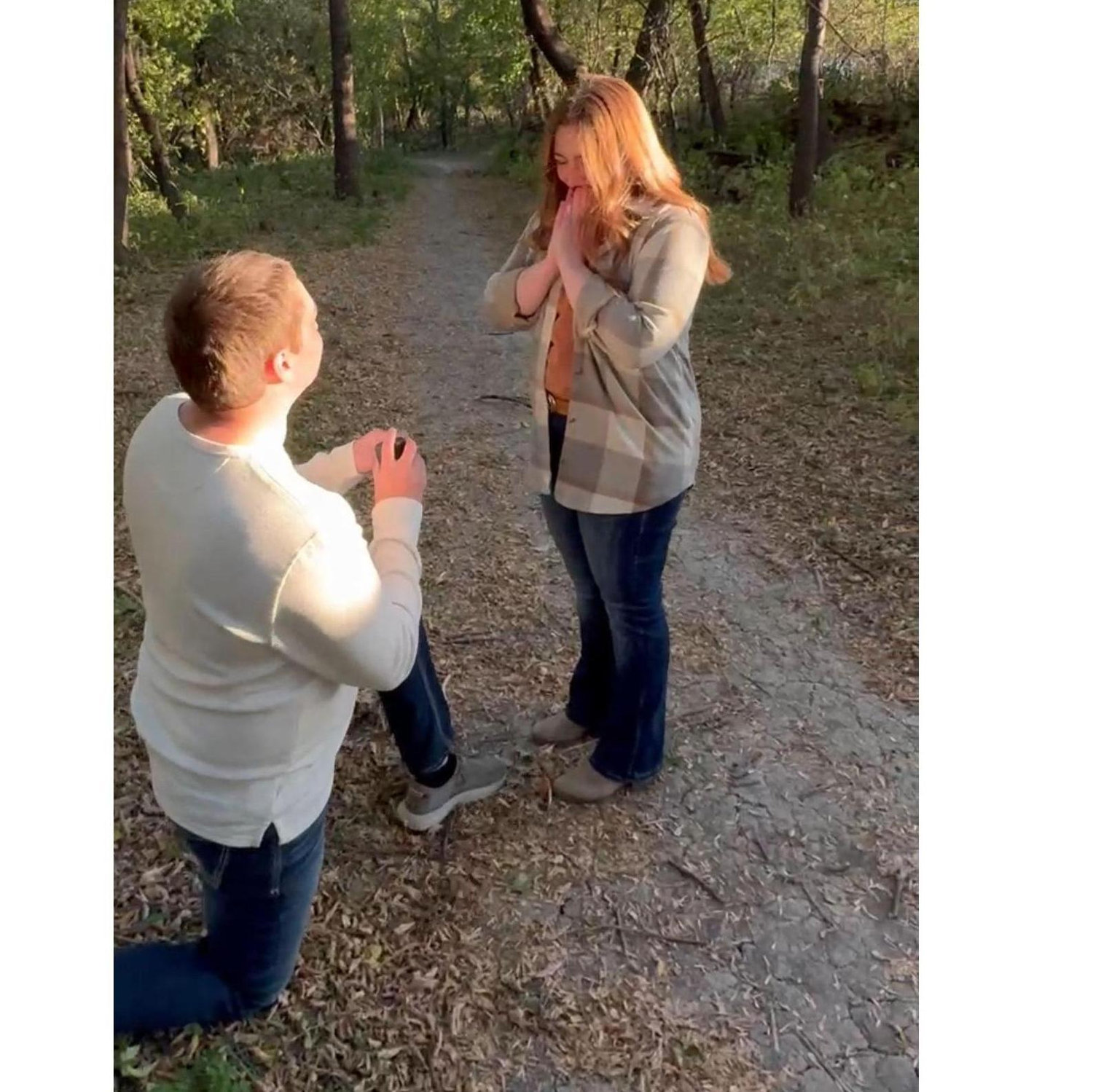 The proposal
