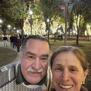 Chicago Christmas lights tour