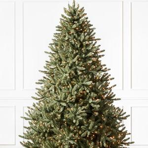 Our Christmas Tree
