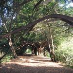 Scadbury Park Nature Reserve