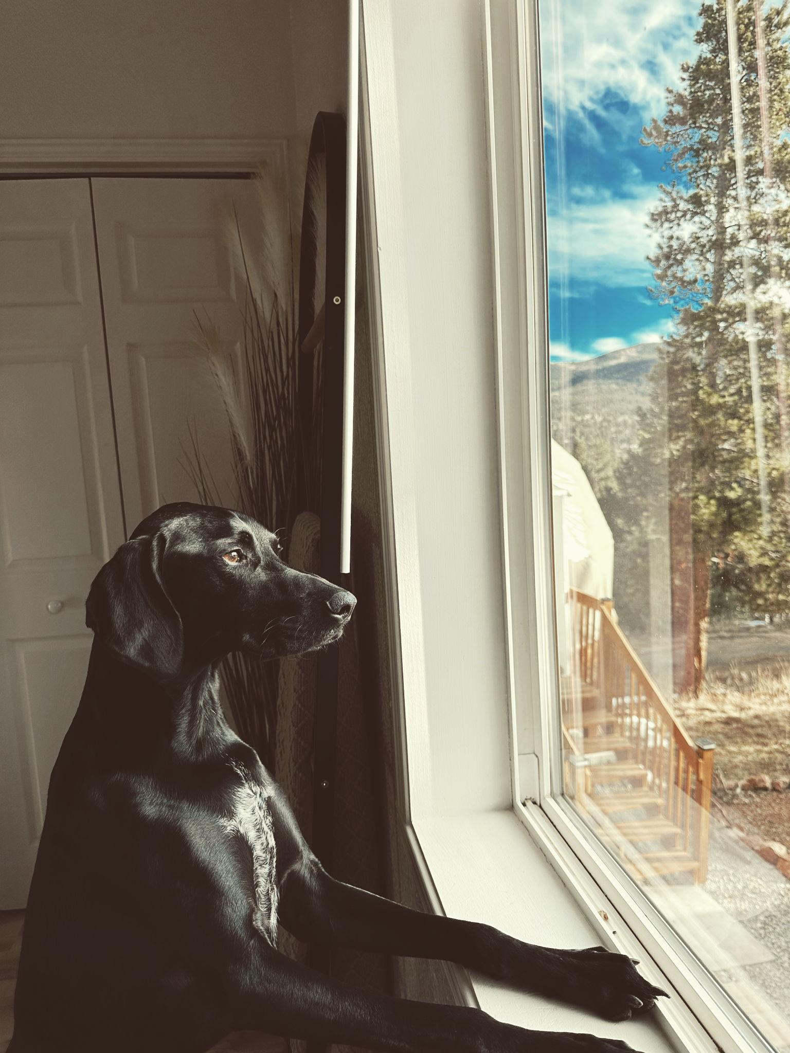 The Wedding Website of Anna Francesca Kulwicki and Nikola Tatic