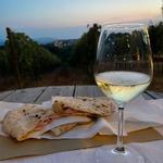 Food and Wine tasting