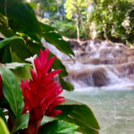 Dunn's River Falls & Park