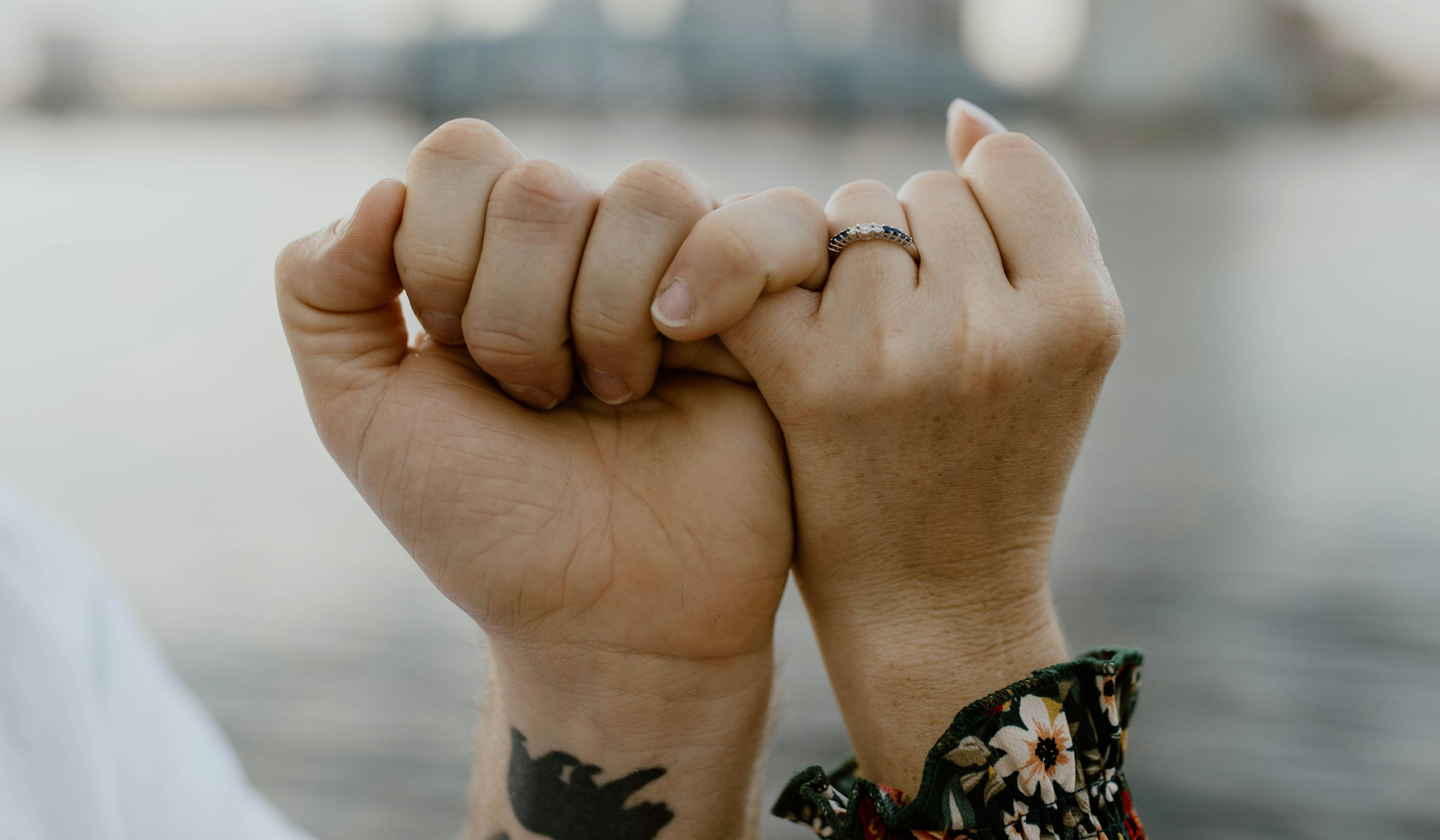 Hero Slideshow Image 0