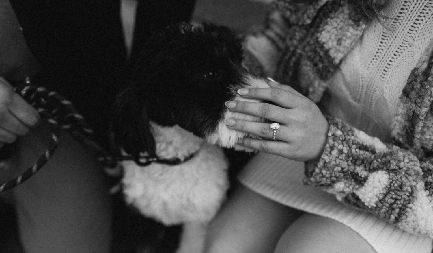 Emily Garson and Marcus Jones' Wedding Website