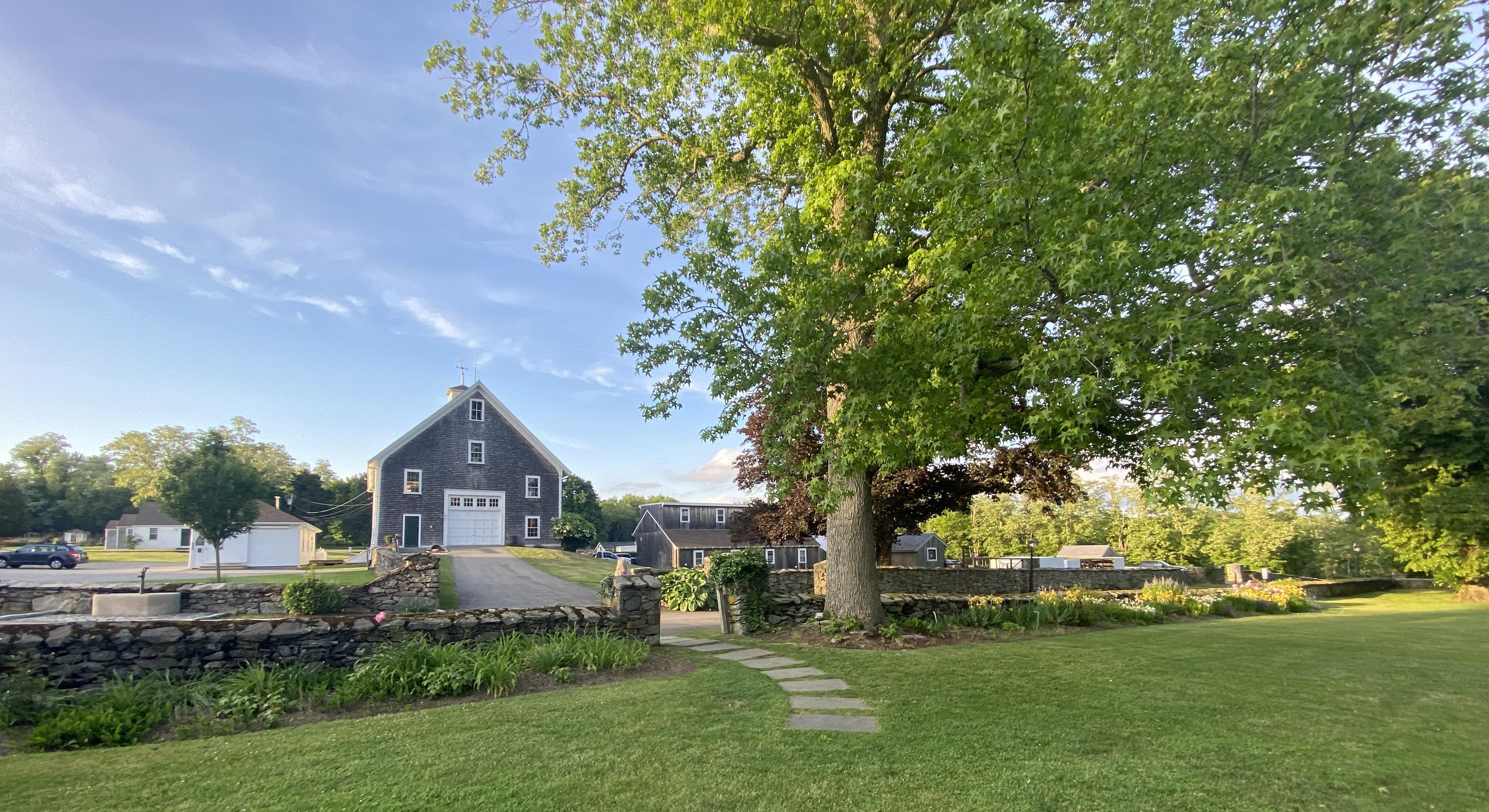 The Wedding Website of Alia Marinone and Davis Englund