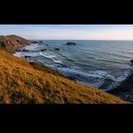 Bodega Bay