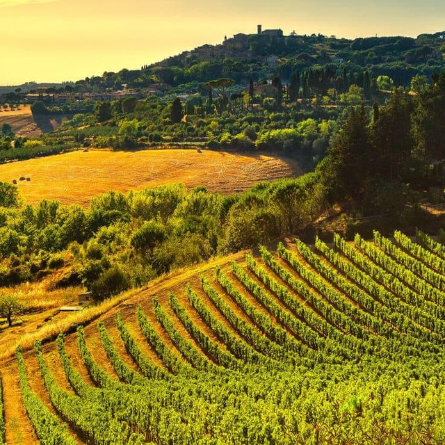 Wine Tour in Sevilla, Spain