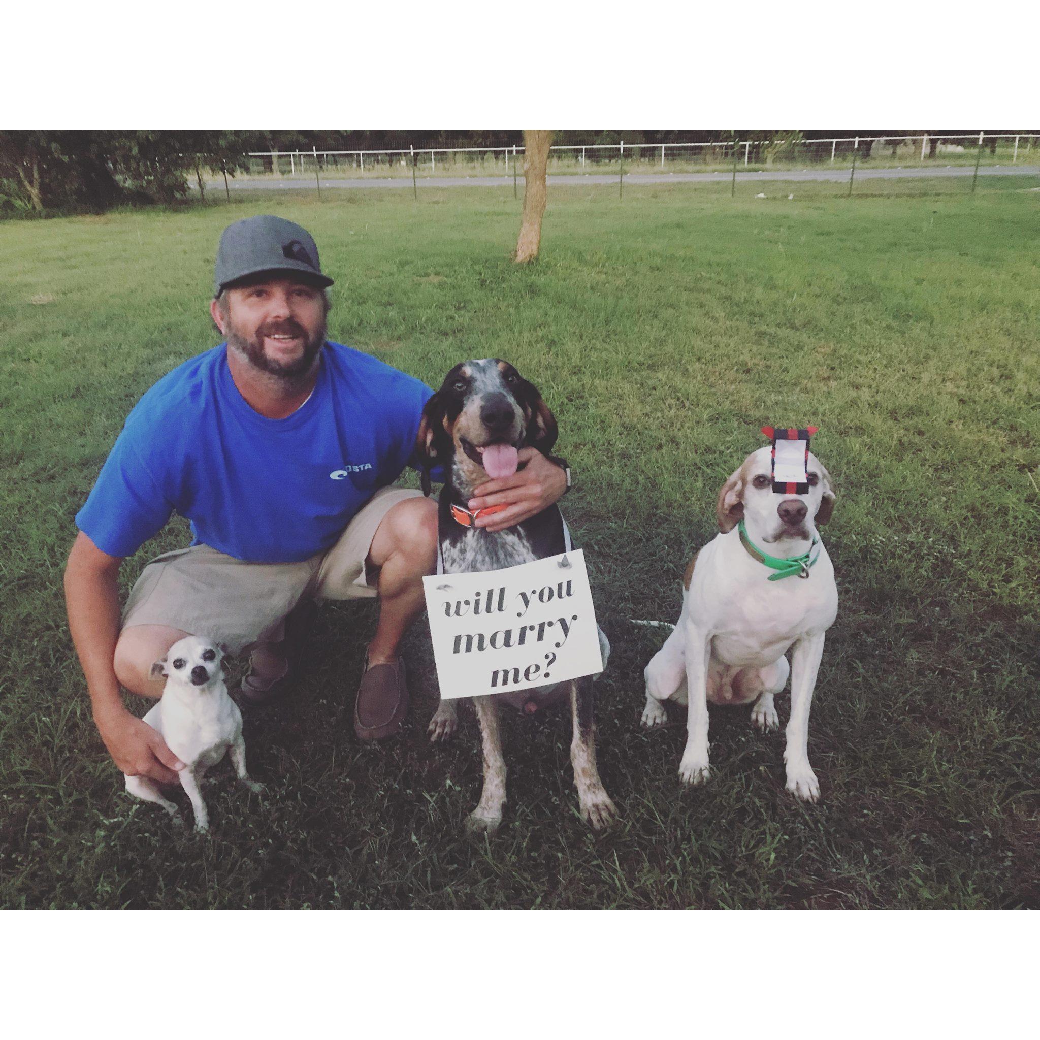 He had been hinting for weeks he had gotten me something,  after I thought about how I hadn't been given anything one night, he told me to go to the other room while he got it. I came back to this.