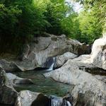 Warren Falls