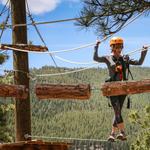 Treehouse Adventure Park