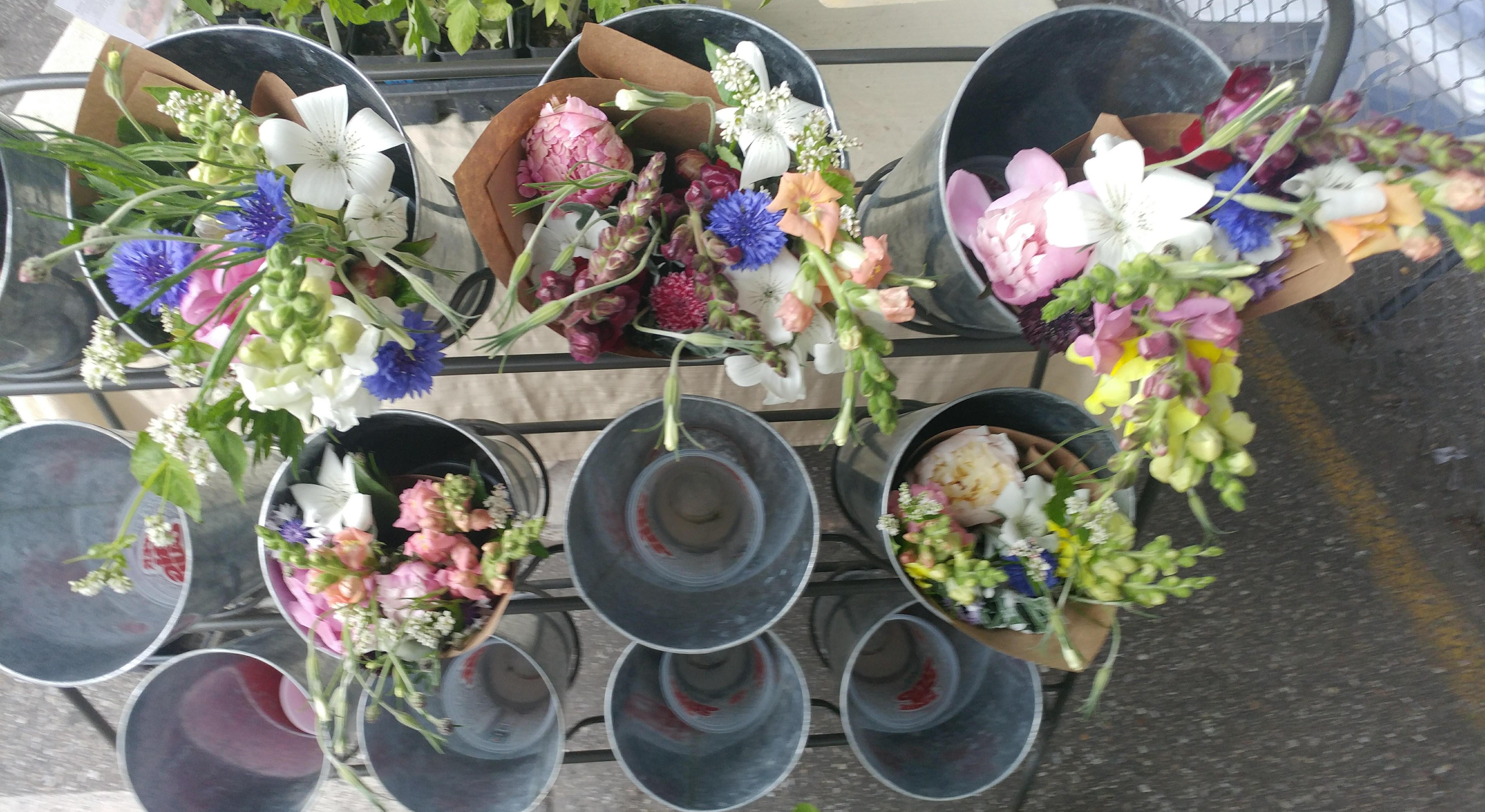 Footer image