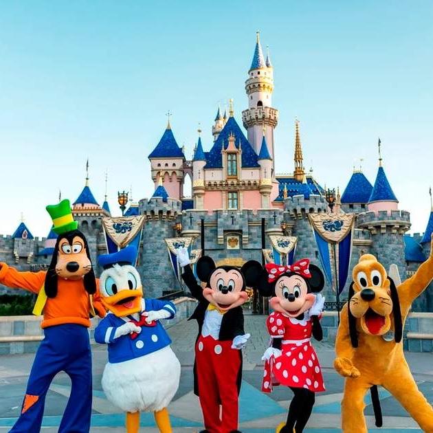 Disneyland Annual Passes