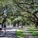 Audubon Park