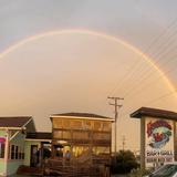 Hurricane Mo's Beachside Bar And Grill