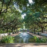 Houston Zoo