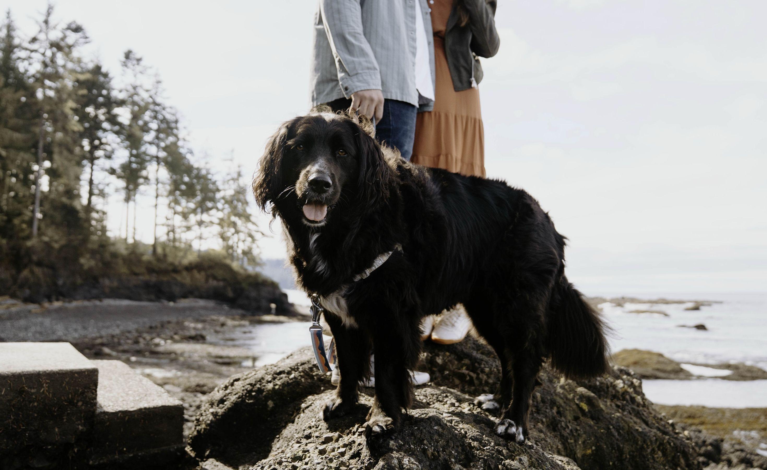 The Wedding Website of Lindsay Parker and Brian Lippert