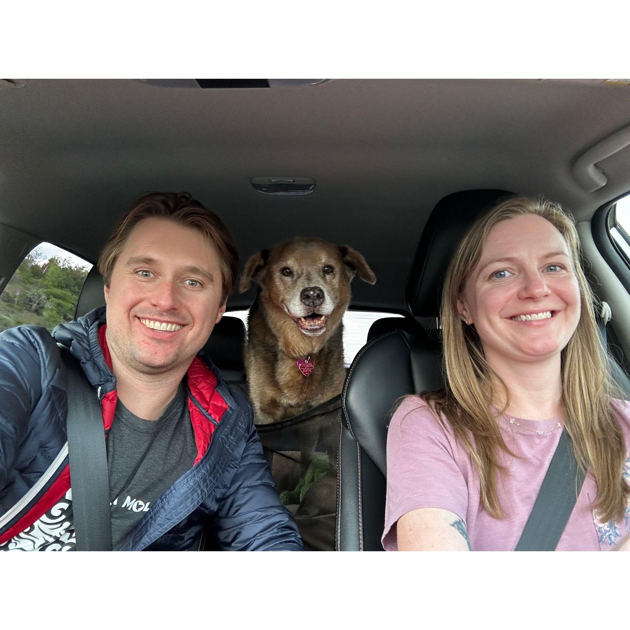 Road trip with Lucy