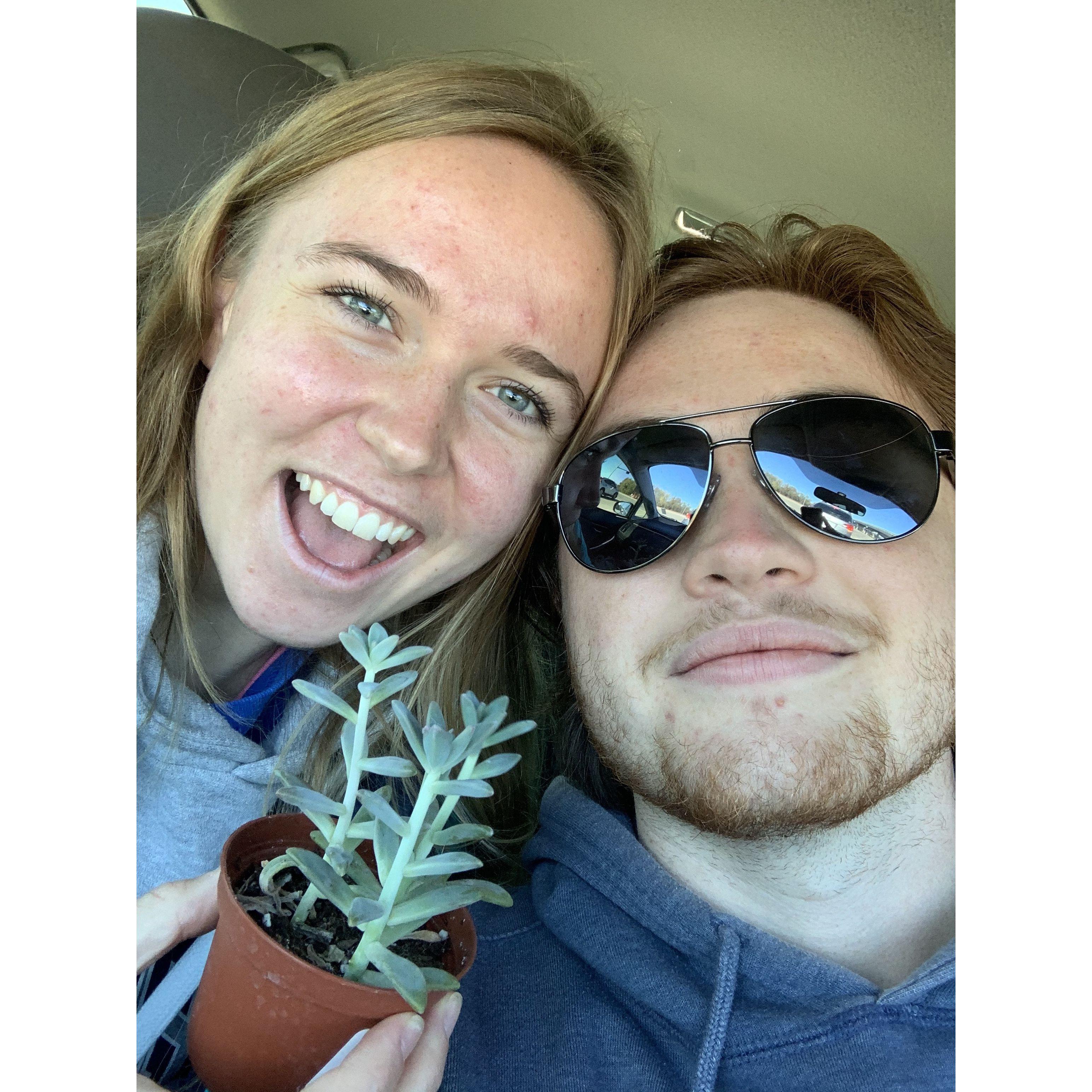 Our first purchase together, a plant, which promptly died...unlike our love!