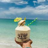 AM I COCONUTS?