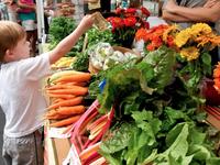 Athens Farmers Market