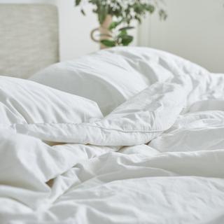 Cooling Performance 4-Piece Sheet Set