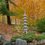 Minnesota Landscape Arboretum