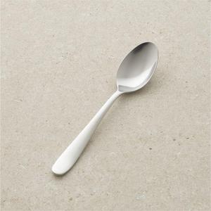 Fusion Dinner Spoon