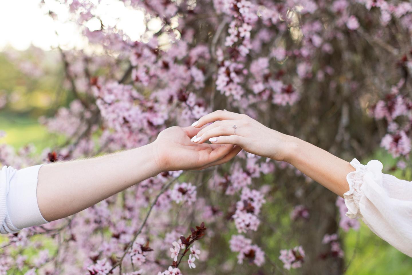 c1c49497-c0d6-43db-82d2-fbddb5a47a6f