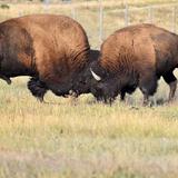 Bear River State Park