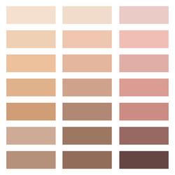 Dress Code Color Palette Example