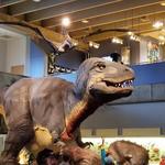 Saint Louis Science Center