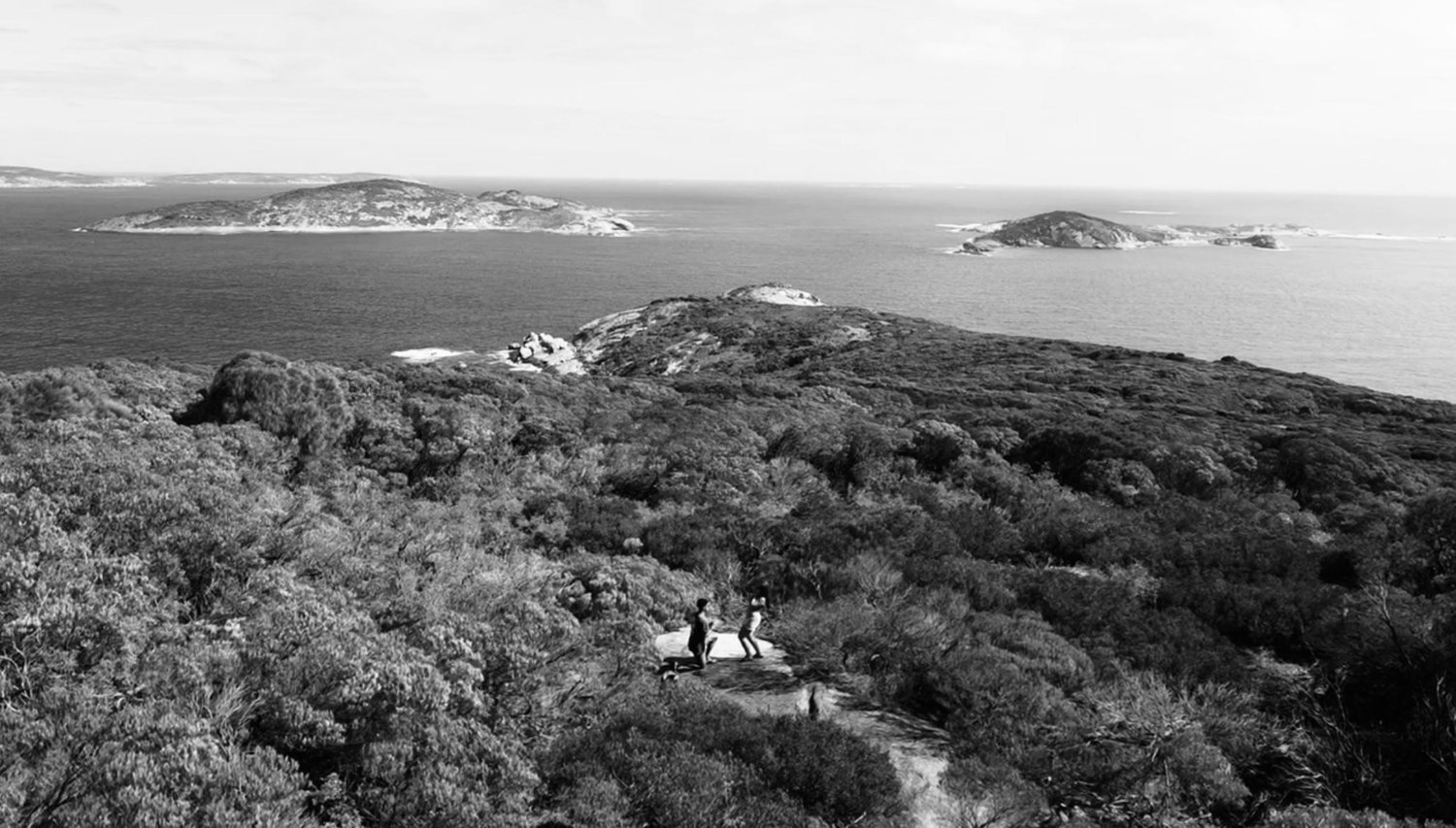 The Wedding Website of katelyn hammond and tyren maclou